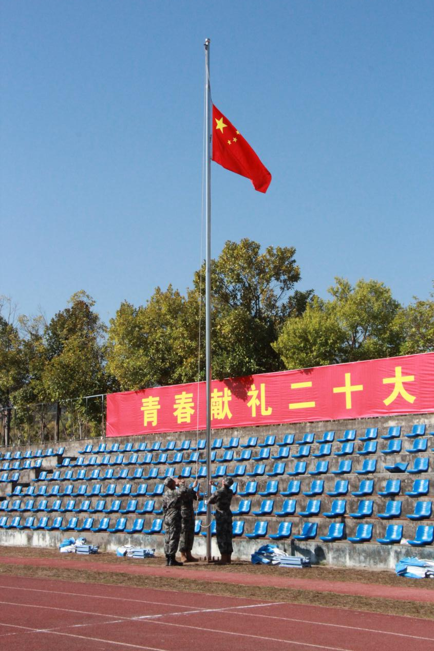 图片1.png