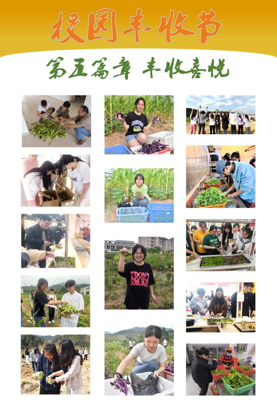 丰收节展板_04.png