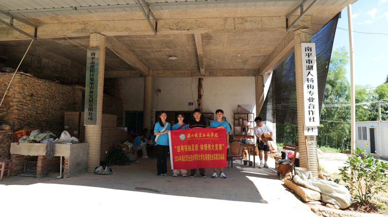 图片4湖人杨梅专业合作社.png