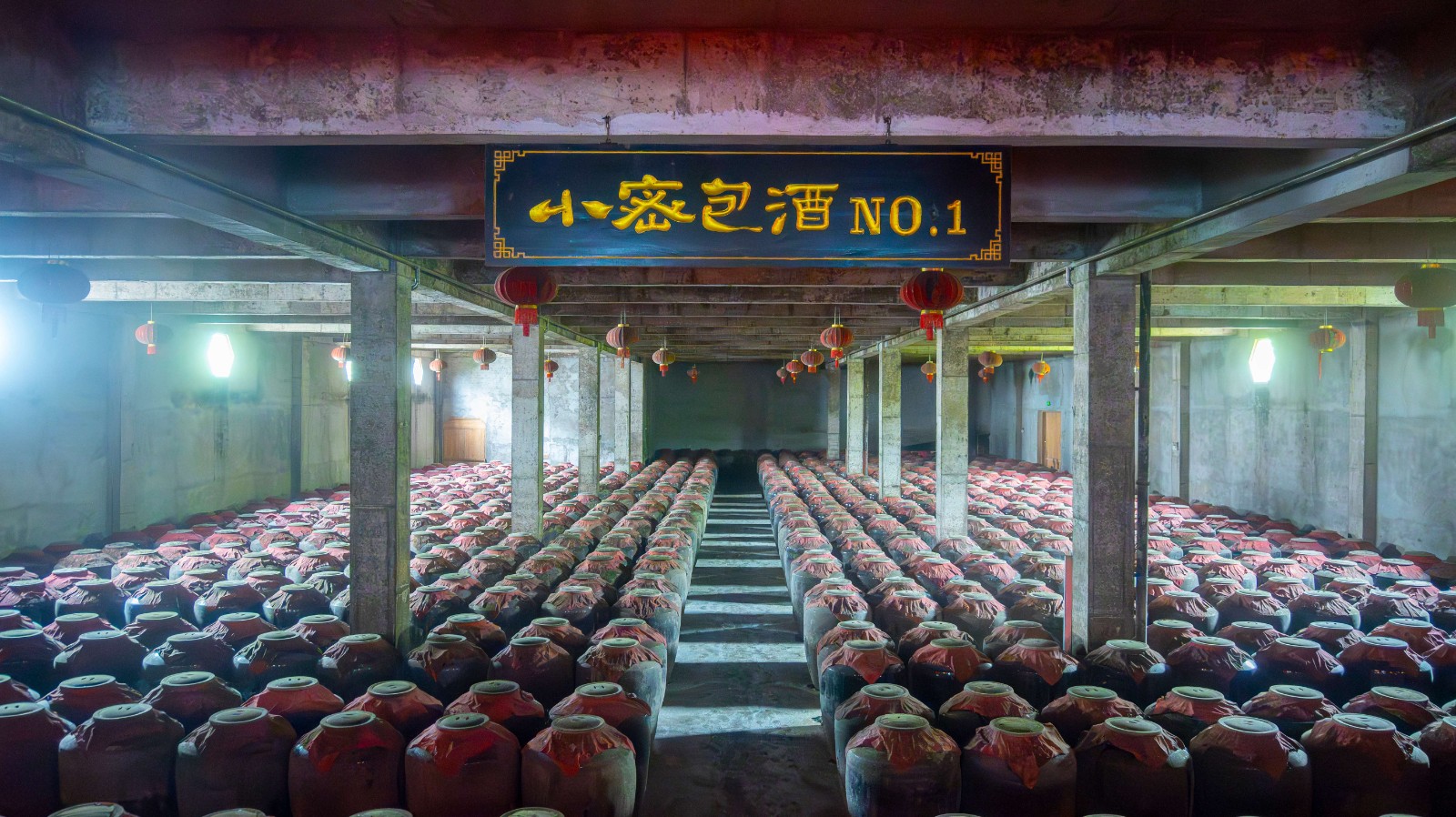 DSC_4532-已增强-降噪.jpg