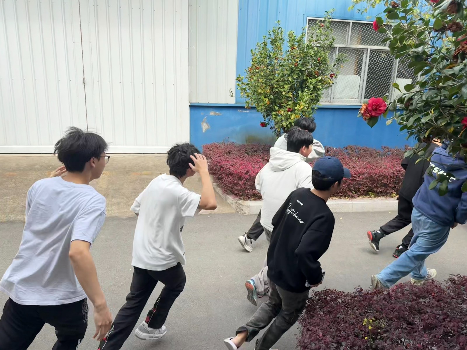 微信图片_20260319163641_174_17.jpg 微信图片_20260319163641_174_17.jpg